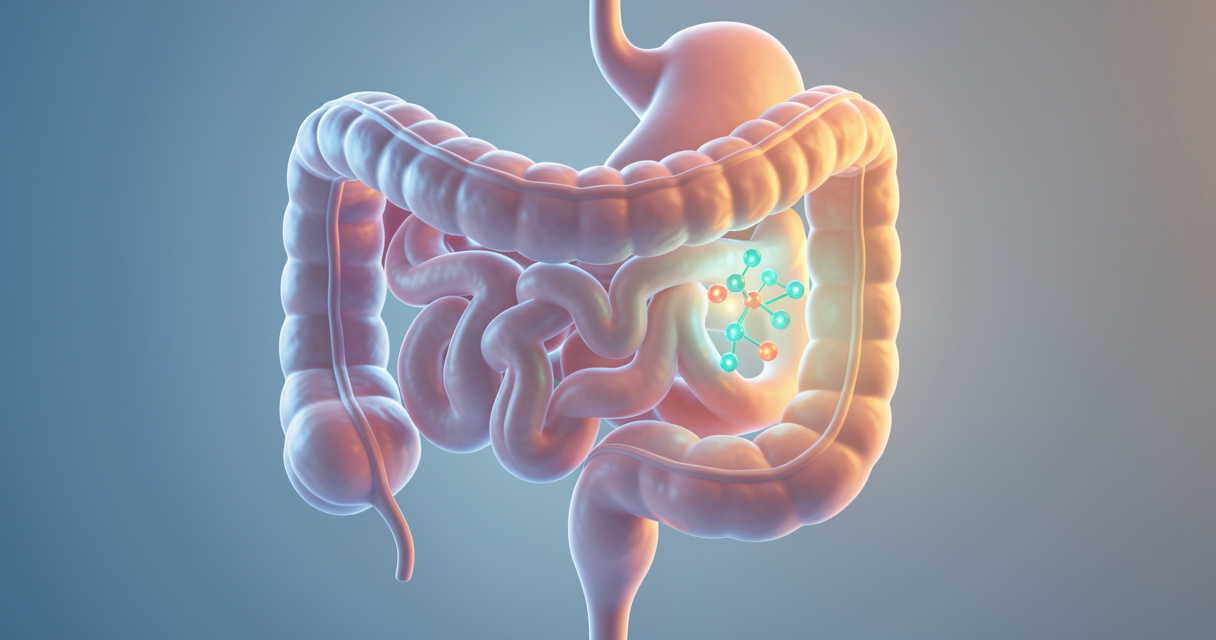 Ilustración médica de la mucosa intestinal con moléculas de glutamina reparando las uniones estrechas y reduciendo la in